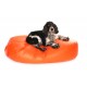 Bean Bags for dogs